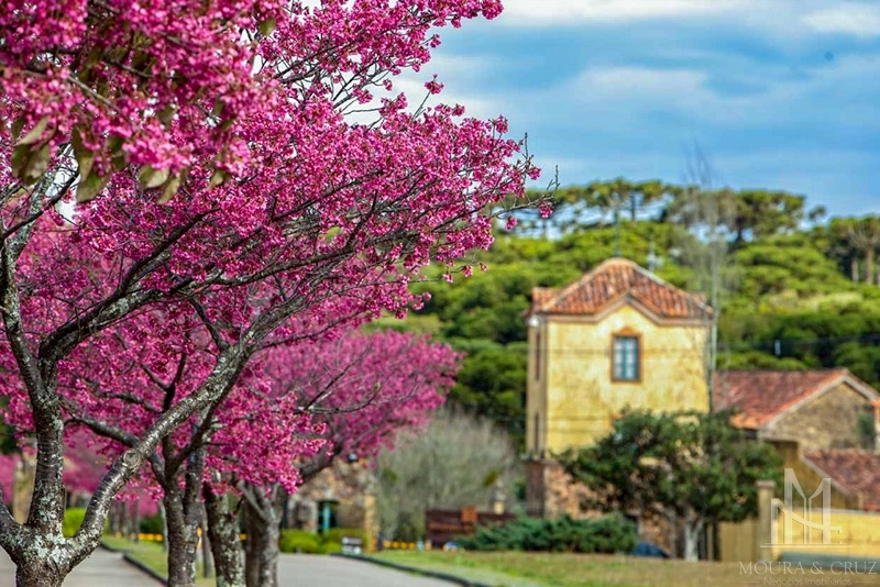 Terreno no Condomínio Reserva da Serra em Canela: 1ª foto da galeria de imagens do imóvel