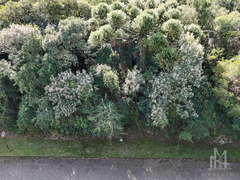 Terreno no Condomínio Reserva da Serra em Canela: 2ª foto da galeria de imagens do imóvel