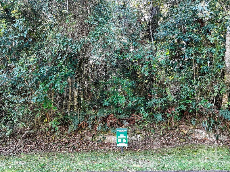 Terreno no Condomínio Reserva da Serra em Canela: 3ª foto da galeria de imagens do imóvel
