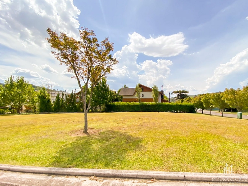 Terreno no Alphaville Gramado: 4ª foto da galeria de imagens do imóvel