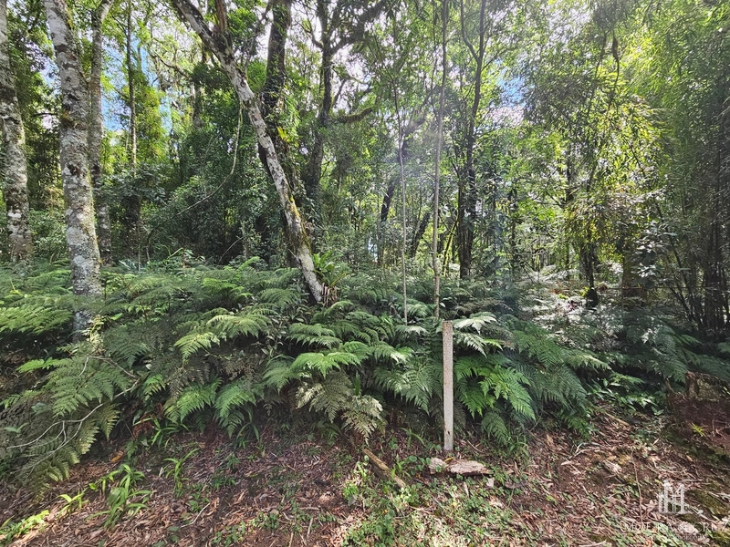 Terreno no Condomínio O Bosque em Gramado: 2ª foto da galeria de imagens do imóvel