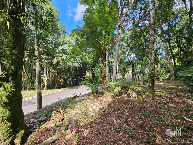 Terreno no Condomínio O Bosque em Gramado: 3ª foto da galeria de imagens do imóvel