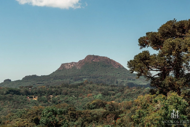 Terrenos em Gramado: 7ª foto da galeria de imagens do imóvel