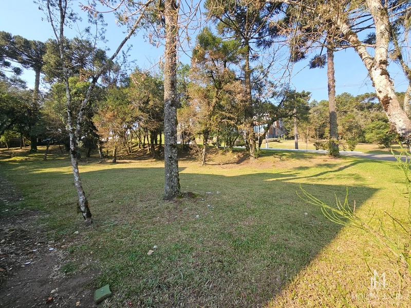 Terreno no Condomínio Altos Pinheiros em Canela: 1ª foto da galeria de imagens do imóvel