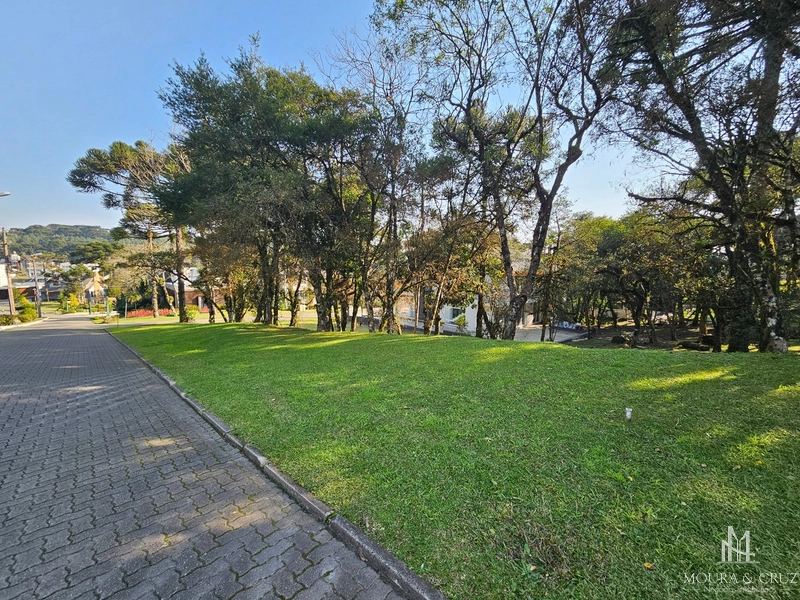 Terreno no Condomínio Altos Pinheiros em Canela: 7ª foto da galeria de imagens do imóvel