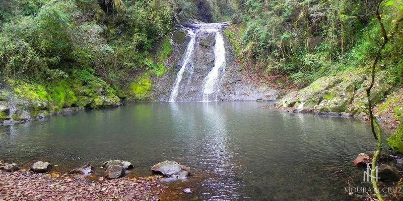 Área de Terras em Gramado: 5ª foto da galeria de imagens do imóvel