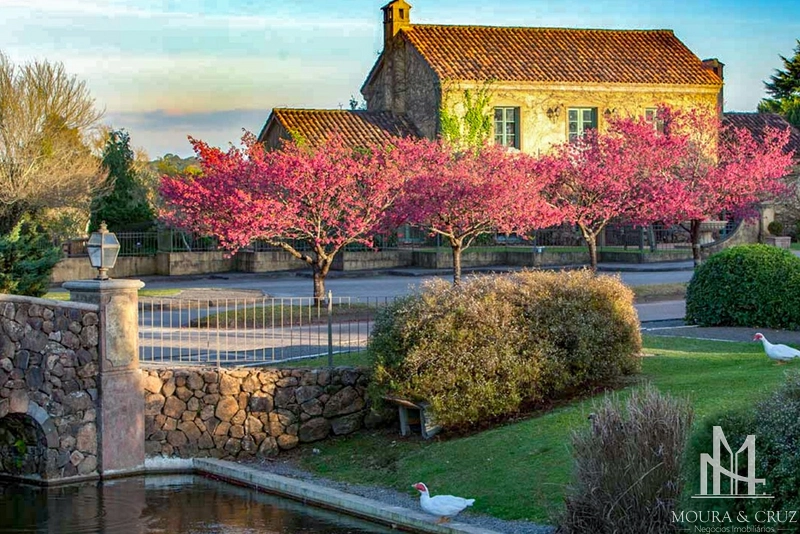 Terreno no Condomínio Reserva da Serra em Canela: 17ª foto da galeria de imagens do imóvel