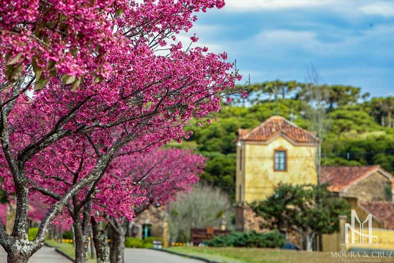 Terreno no Condomínio Reserva da Serra em Canela: 19ª foto da galeria de imagens do imóvel