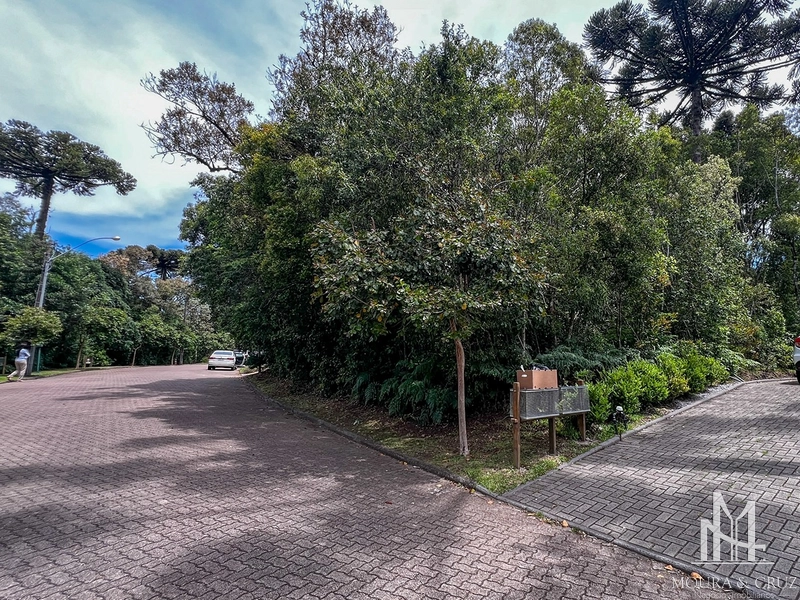 Terreno no Condomínio Reserva da Serra em Canela: 2ª foto da galeria de imagens do imóvel