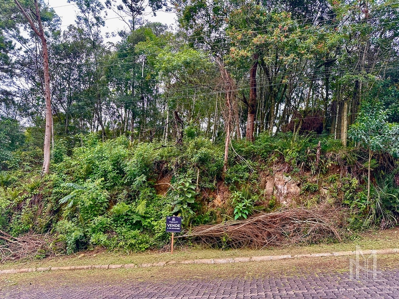 Terreno no Vale das Colinas em Gramado: 1ª foto da galeria de imagens do imóvel