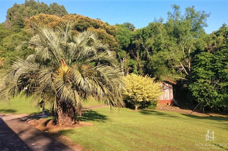 Sítio em Santa Maria do Herval: 4ª foto da galeria de imagens do imóvel