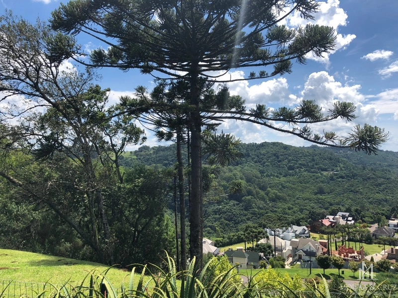 Terreno no Alphaville Gramado: 14ª foto da galeria de imagens do imóvel
