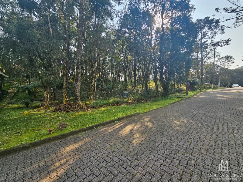 Terreno no Condomínio Pinheiro Grosso em Canela: 2ª foto da galeria de imagens do imóvel