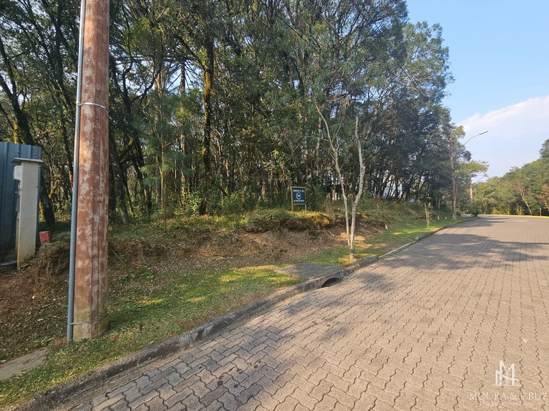 Terreno no Condomínio Pinheiro Grosso em Canela: 1ª foto da galeria de imagens do imóvel