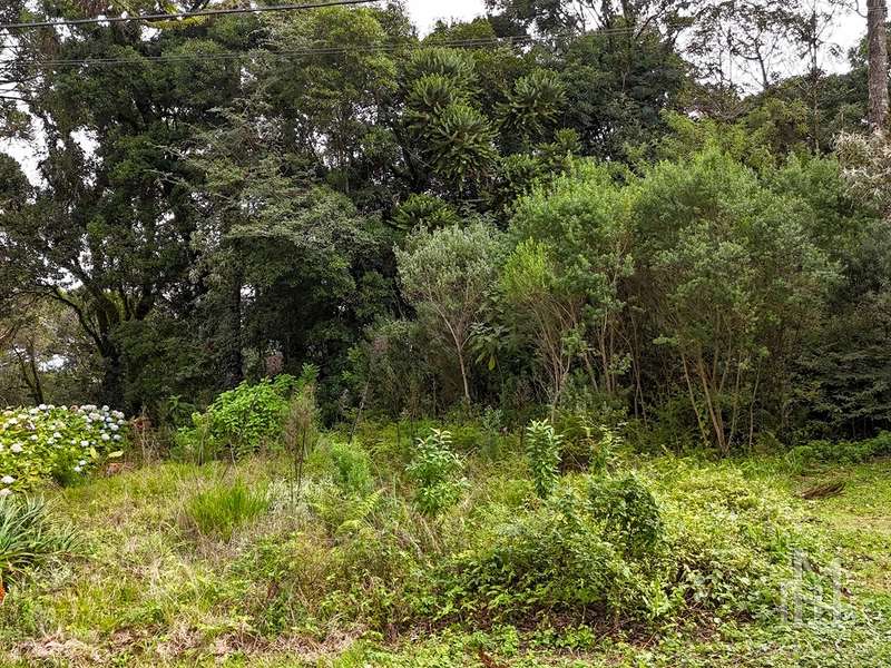Terreno no Condomínio Quinta da Serra em Canela: 7ª foto da galeria de imagens do imóvel
