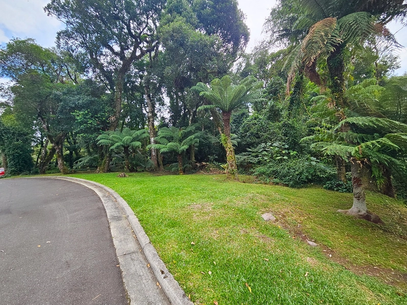 Terreno no Cond. O Bosque em Gramado: 3ª foto da galeria de imagens do imóvel