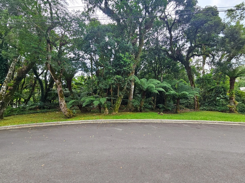 Terreno no Cond. O Bosque em Gramado: 1ª foto da galeria de imagens do imóvel