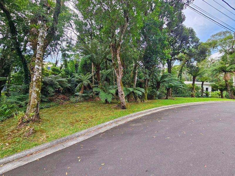 Terreno no Cond. O Bosque em Gramado: 2ª foto da galeria de imagens do imóvel