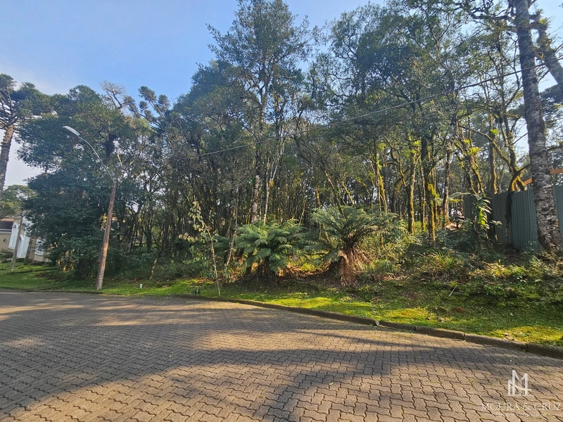 Terreno no Condomínio Pinheiro Grosso em Canela: 1ª foto da galeria de imagens do imóvel