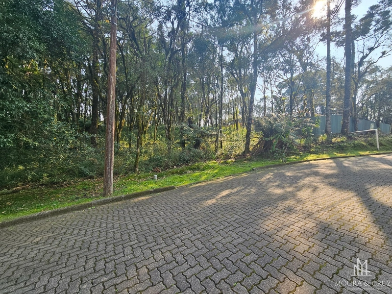 Terreno no Condomínio Pinheiro Grosso em Canela: 2ª foto da galeria de imagens do imóvel