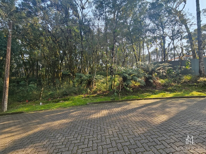 Terreno no Condomínio Pinheiro Grosso em Canela: 28ª foto da galeria de imagens do imóvel