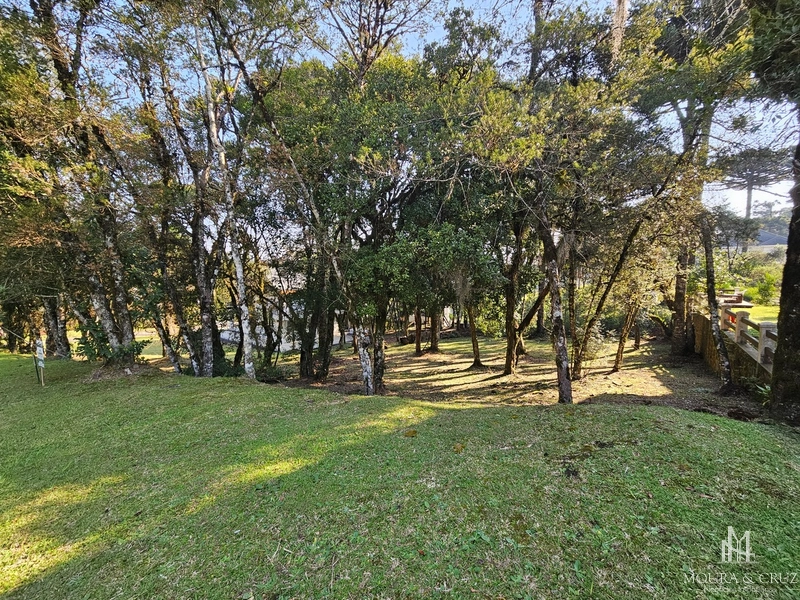 Terreno no Condomínio Altos Pinheiros em Canela: 1ª foto da galeria de imagens do imóvel