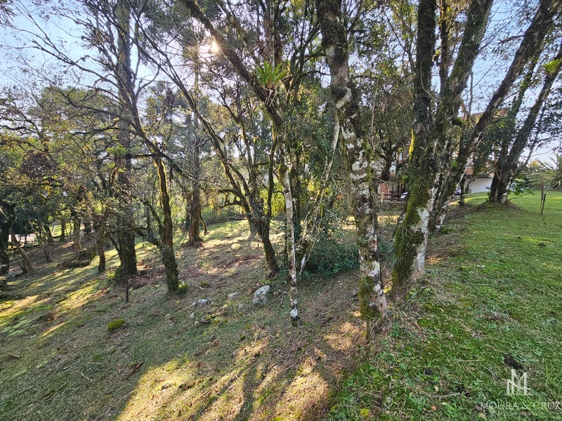 Terreno no Condomínio Altos Pinheiros em Canela: 2ª foto da galeria de imagens do imóvel