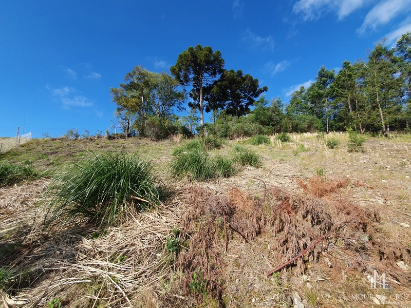 Terreno no Terras Altas em Gramado: 5ª foto da galeria de imagens do imóvel