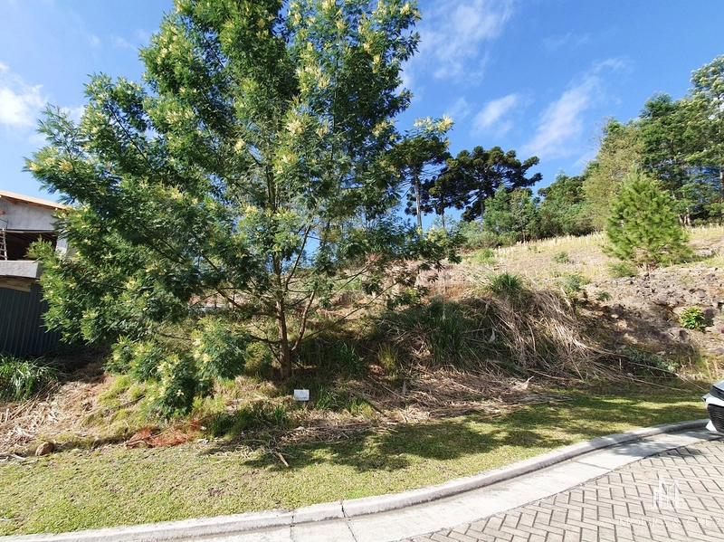Terreno no Terras Altas em Gramado: 2ª foto da galeria de imagens do imóvel