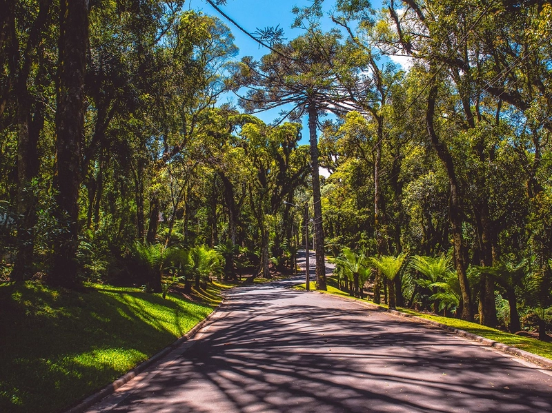 Casa 4 quartos no Cond. O Bosque em Gramado: 52ª foto da galeria de imagens do imóvel