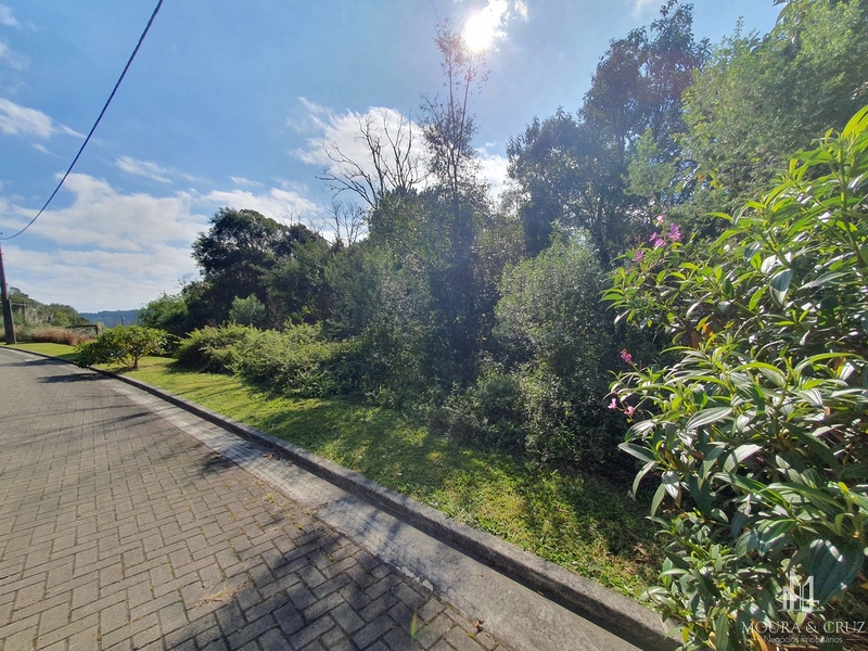 Terreno no Terras Altas em Gramado: 1ª foto da galeria de imagens do imóvel