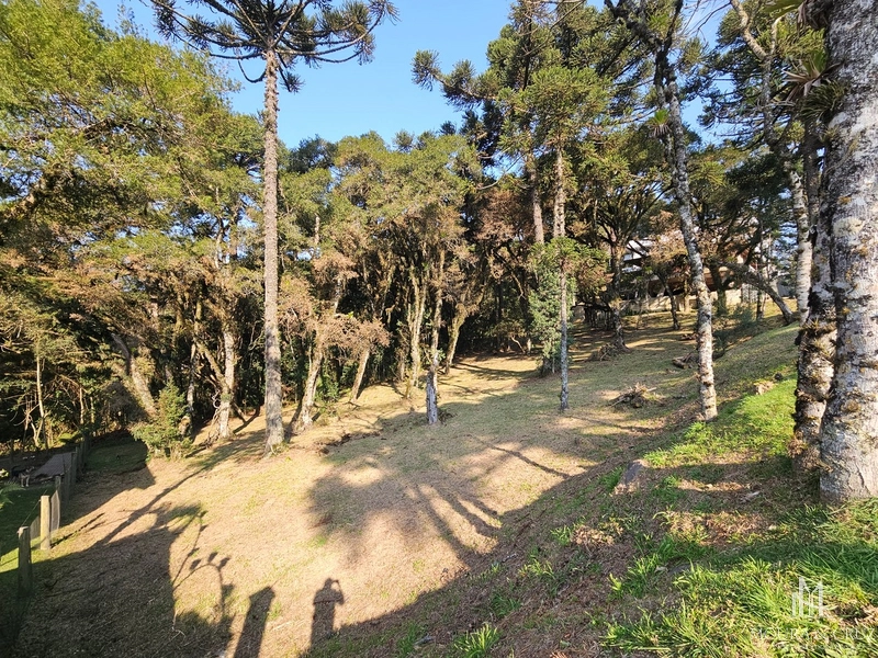 Terreno no Condomínio Altos Pinheiros em Canela: 12ª foto da galeria de imagens do imóvel