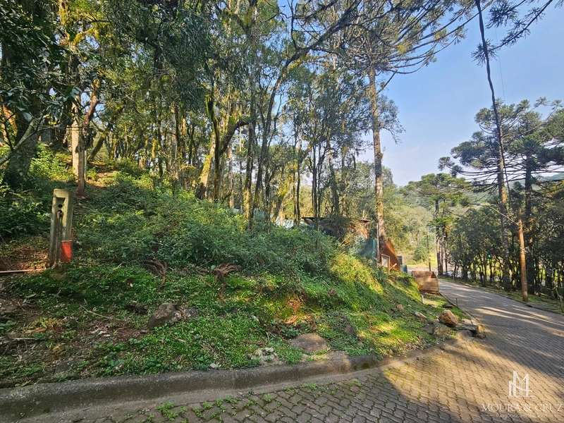 Terreno no Condomínio Pinheiro Grosso em Canela: 3ª foto da galeria de imagens do imóvel