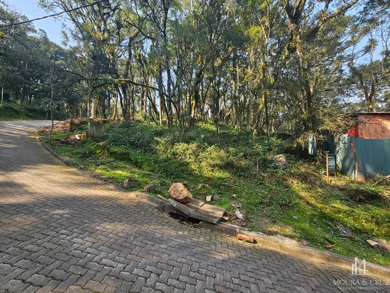 Terreno no Condomínio Pinheiro Grosso em Canela: 1ª foto da galeria de imagens do imóvel