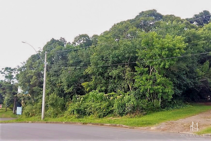 Terreno Comercial em Canela: 3ª foto da galeria de imagens do imóvel
