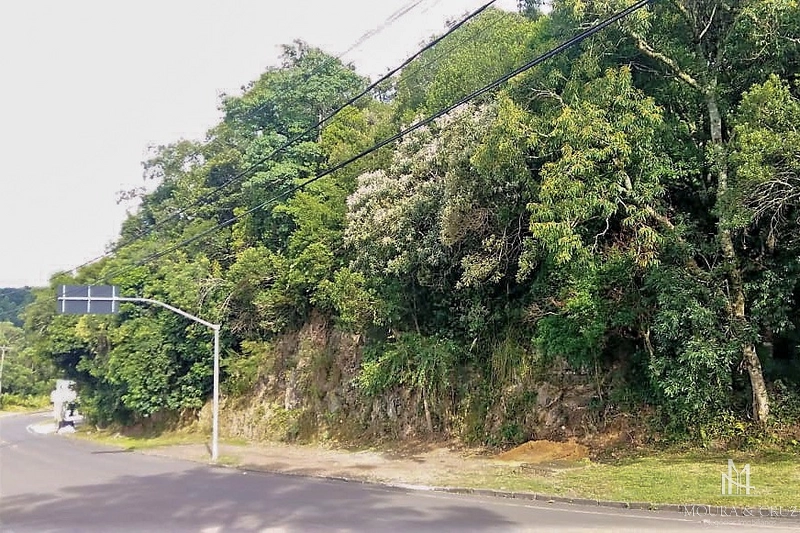 Terreno Comercial em Canela: 1ª foto da galeria de imagens do imóvel