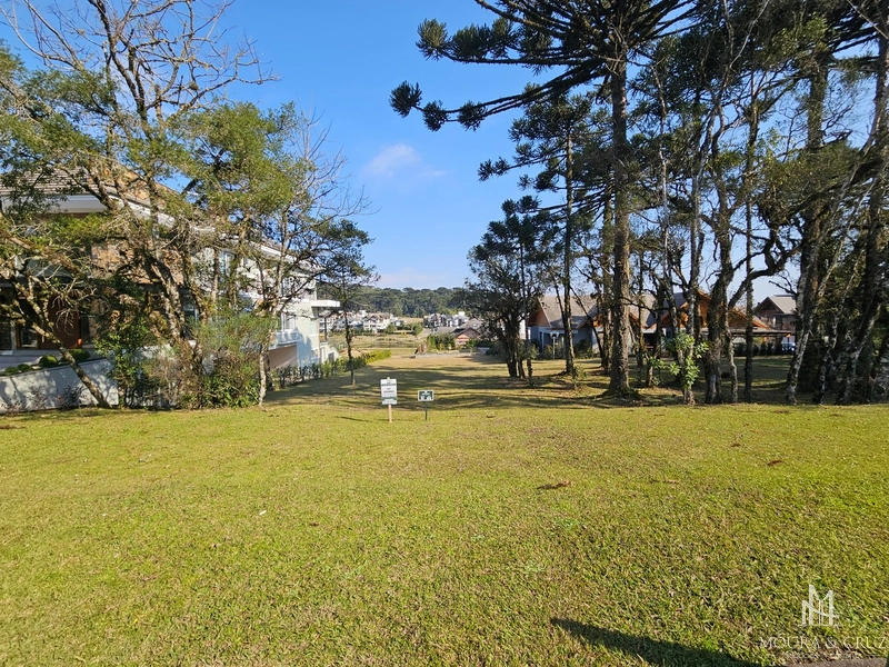 Terreno no Condomínio Altos Pinheiros em Canela: 12ª foto da galeria de imagens do imóvel