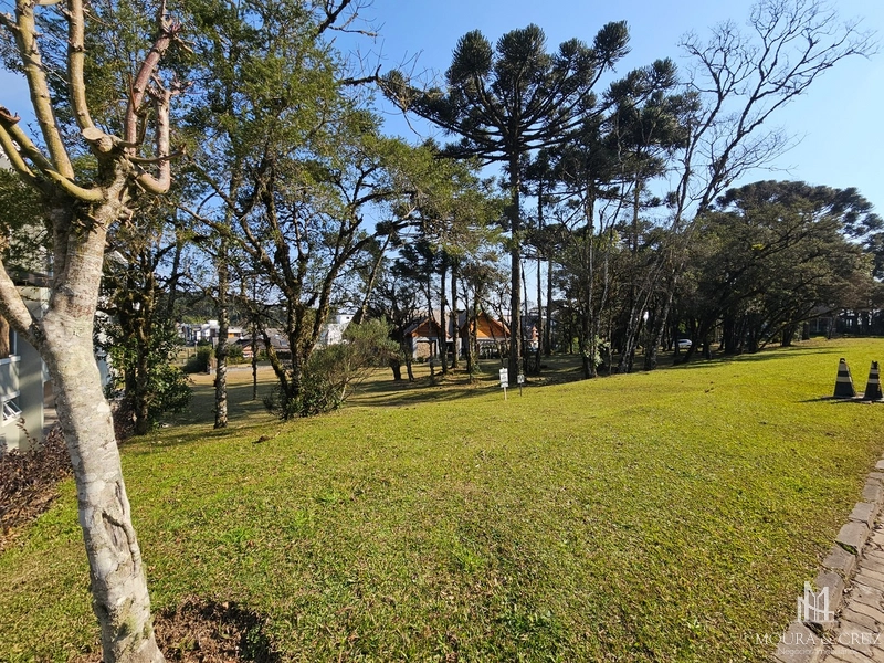 Terreno no Condomínio Altos Pinheiros em Canela: 1ª foto da galeria de imagens do imóvel