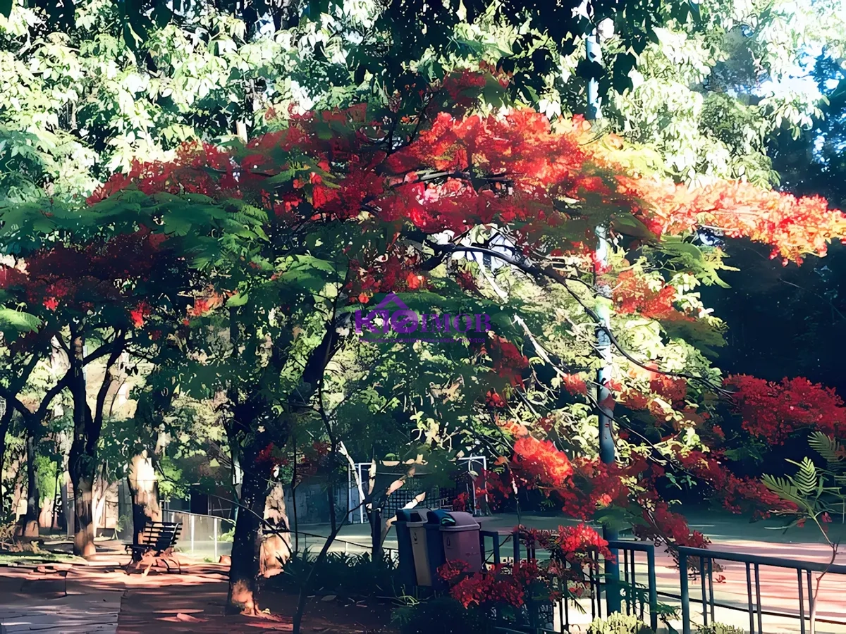 15ª foto do condomínio