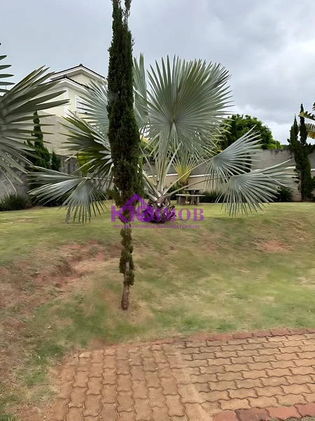 Apartamento Condominio Salamanca Sorocaba/SP: 19ª foto da galeria de imagens do imóvel