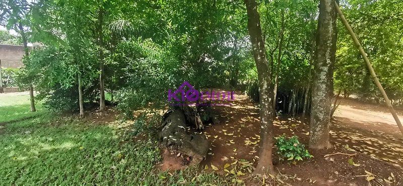 Chácara Jardim Alvorada Iperó-SP: 5ª foto da galeria de imagens do imóvel