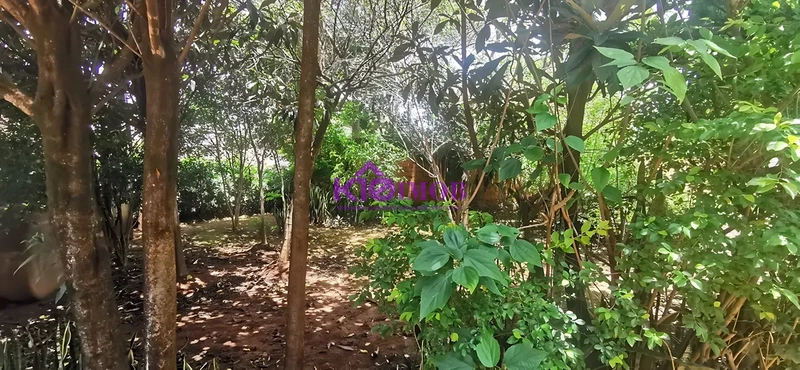 Chácara Jardim Alvorada Iperó-SP: 6ª foto da galeria de imagens do imóvel