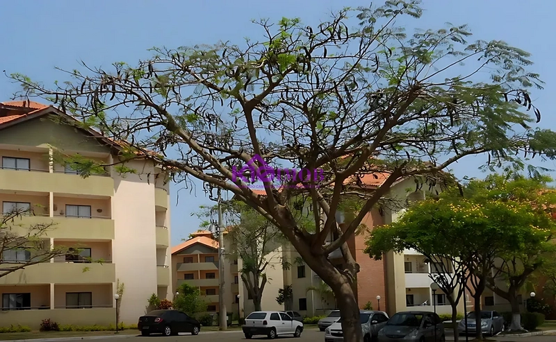 Apartamento Condominio Morada das Américas Sorocaba/SP: 16ª foto da galeria de imagens do imóvel