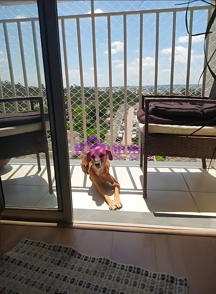 Apartamento Condominio Monte Castelo Caguaçú Sorocaba/SP: 7ª foto da galeria de imagens do imóvel