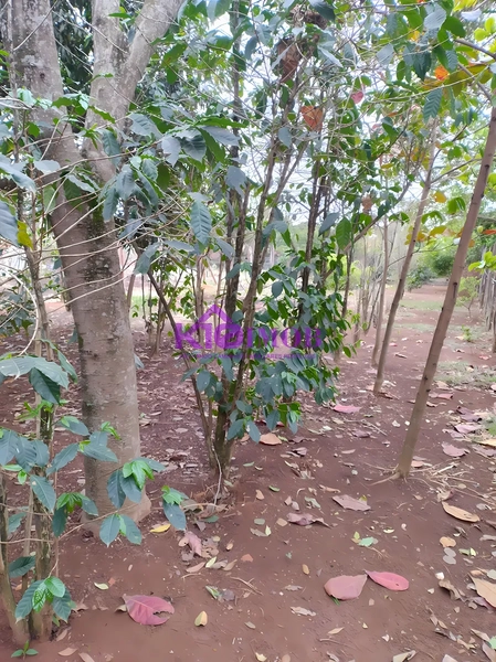 Terreno de 553m² para Chácara - Iperó/SP: 30ª foto da galeria de imagens do imóvel