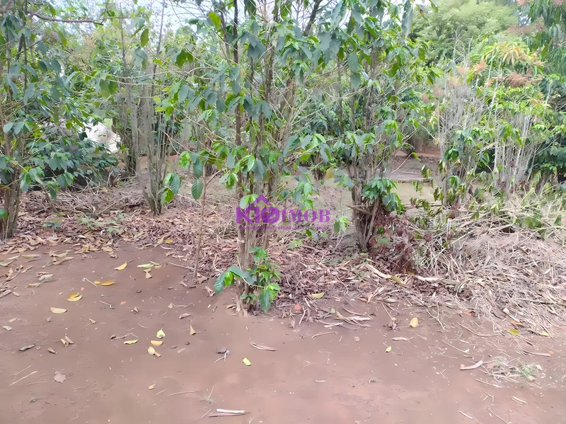 Terreno de 553m² para Chácara - Iperó/SP: 53ª foto da galeria de imagens do imóvel