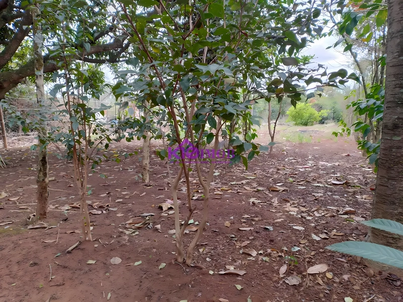 Terreno de 553m² para Chácara - Iperó/SP: 22ª foto da galeria de imagens do imóvel