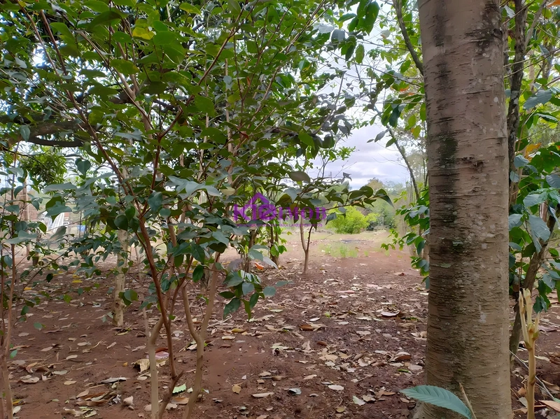 Terreno de 553m² para Chácara - Iperó/SP: 18ª foto da galeria de imagens do imóvel