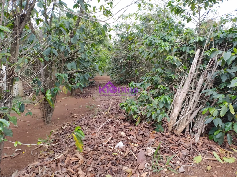 Terreno de 553m² para Chácara - Iperó/SP: 45ª foto da galeria de imagens do imóvel