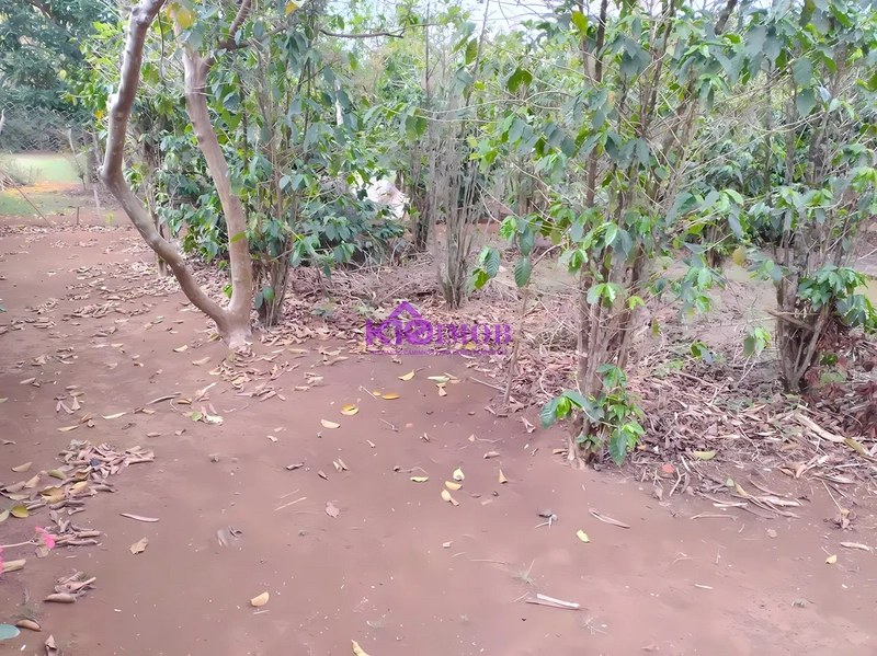 Terreno de 553m² para Chácara - Iperó/SP: 50ª foto da galeria de imagens do imóvel